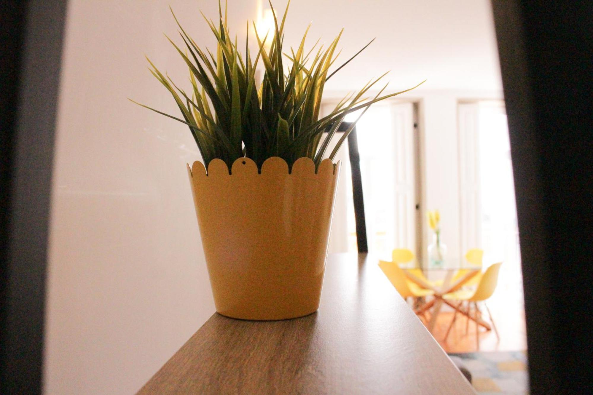 Bom Porto Apartments Extérieur photo
